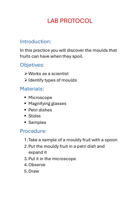 LAB PRACTICE.pdf